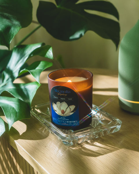 Limited Edition Magnolia Symphony